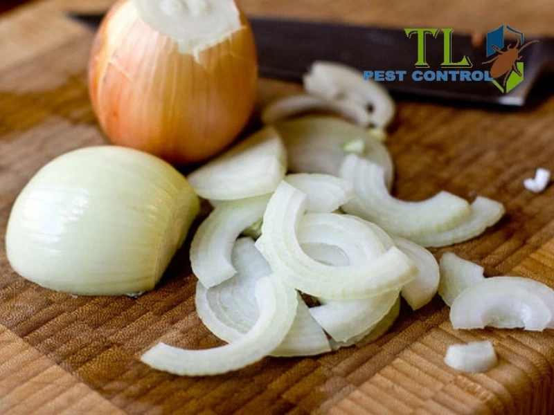 cách đuổi muỗi bằng hành tây