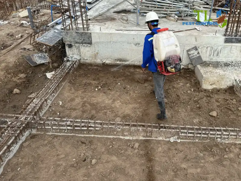 diệt mối quận tân phú