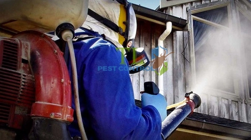 dịch vụ diệt mối quận gò vấp dịch vụ diệt mối quận gò vấp