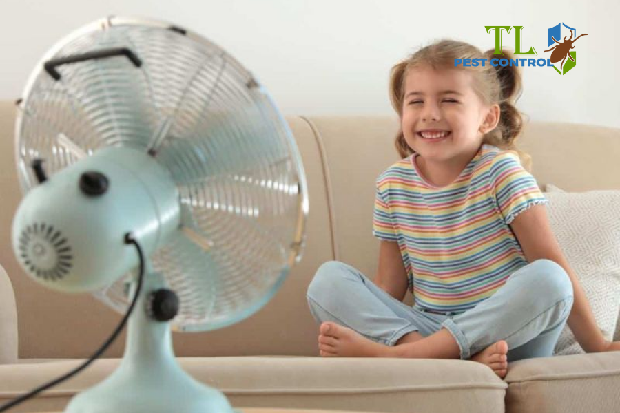 Sử dụng quạt điện để đuổi muỗi 