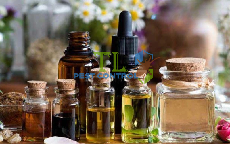 Tinh dầu đuổi bồ hóng