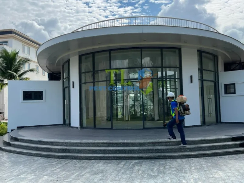 diệt mối cho nhà hàng