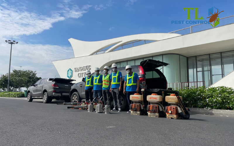 Dịch vụ diệt ong đất của Trần Long