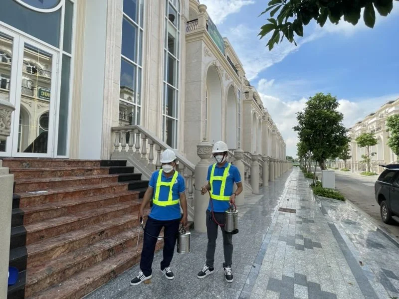 diệt mối bằng phương pháp sinh học