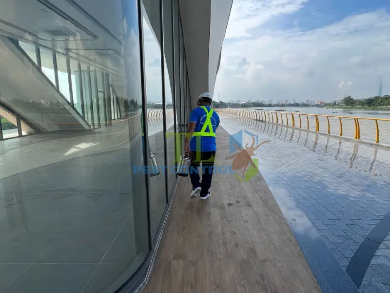 Thuốc diệt muỗi có ảnh hưởng sức khỏe không
