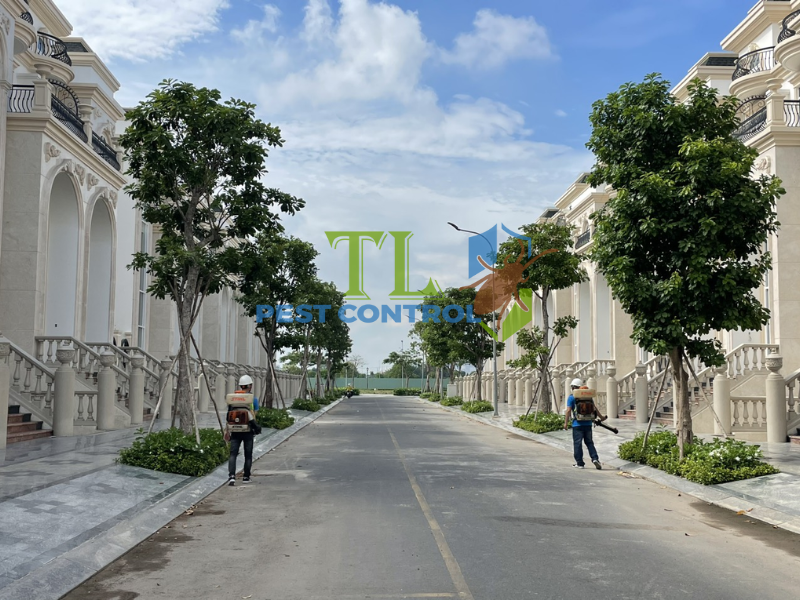 Phun phòng chống mối cho công trình xây mới và công trình đang sử dụng