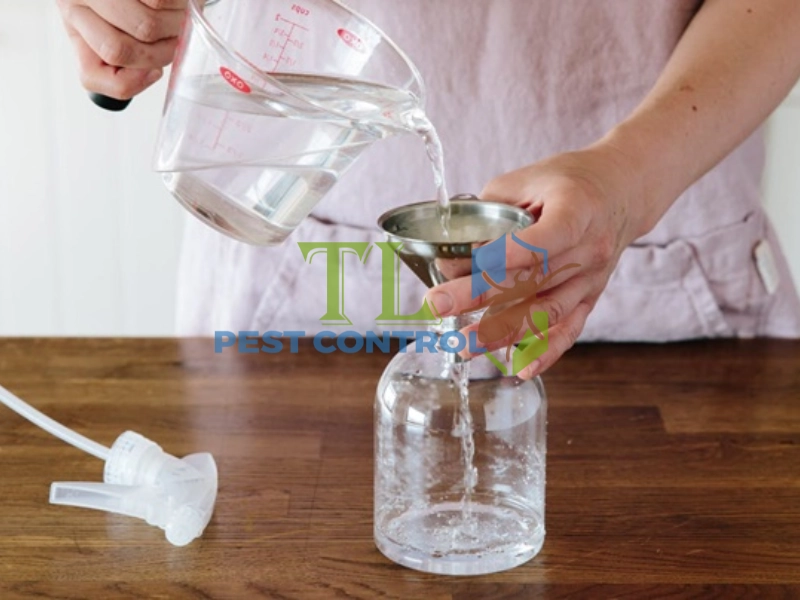 diệt mối dưới nền nhà