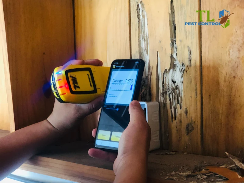 diệt mối quận bình thạnh
