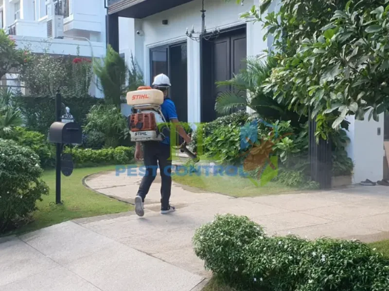 dịch vụ diệt muỗi