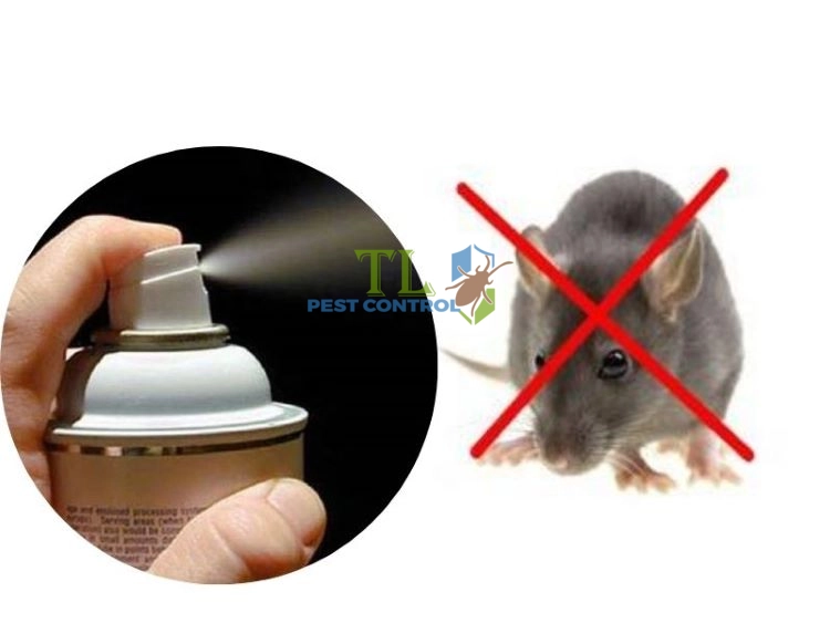 cách diệt chuột xạ trong nhà
