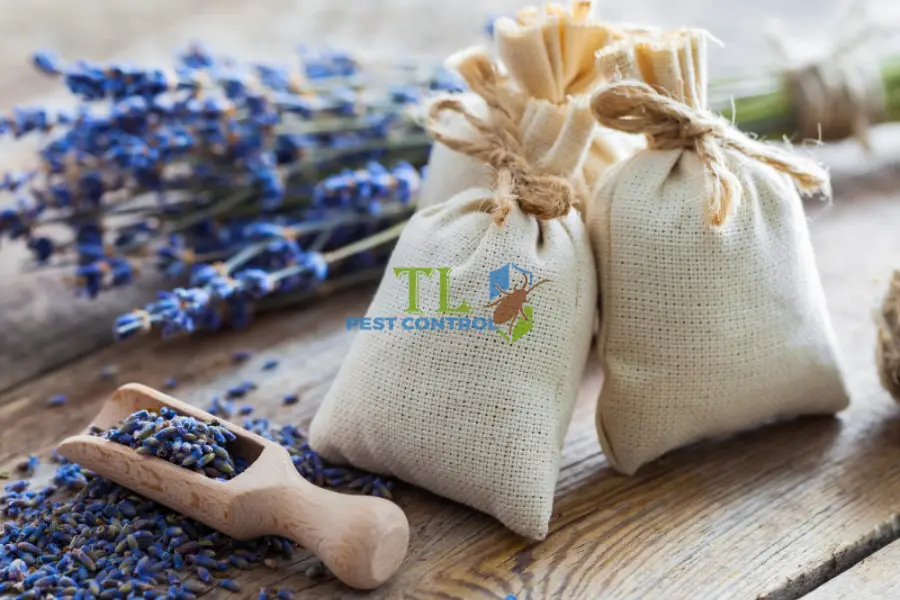 Cách Làm Túi Đuổi Muỗi Tại Nhà Đơn Giản, Hiệu Quả
