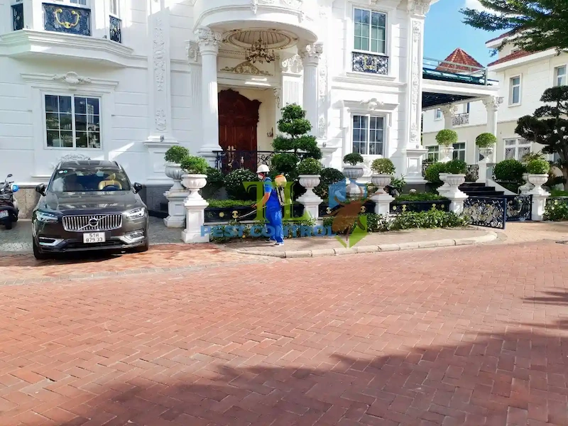 diệt mối quận 9 diệt mối quận 9