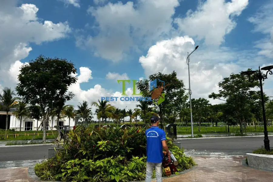 Phun Thuốc Diệt Muỗi Bao Lâu Một Lần?