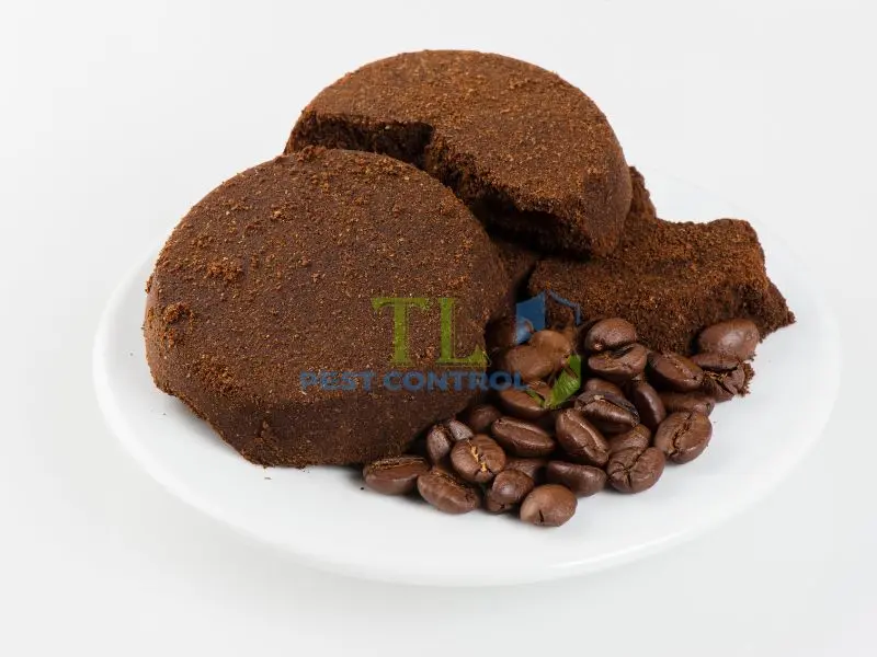 diệt muỗi trong tủ quần áo