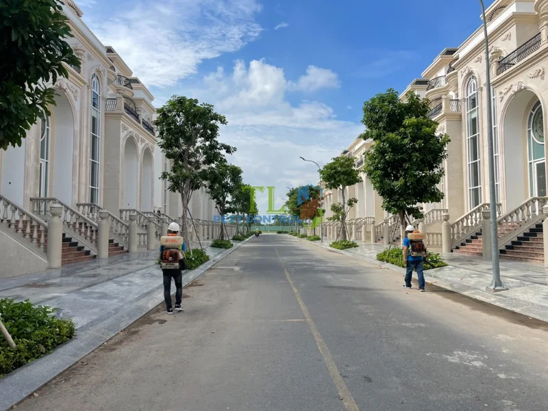 Thời điểm cần đến dịch vụ diệt côn trùng chuyên nghiệp