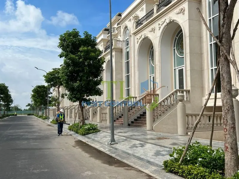 Quy trình dịch vụ diệt mối nhà dân chuyên nghiệp tại Trần Long Quy trình dịch vụ diệt mối nhà dân chuyên nghiệp tại Trần Long