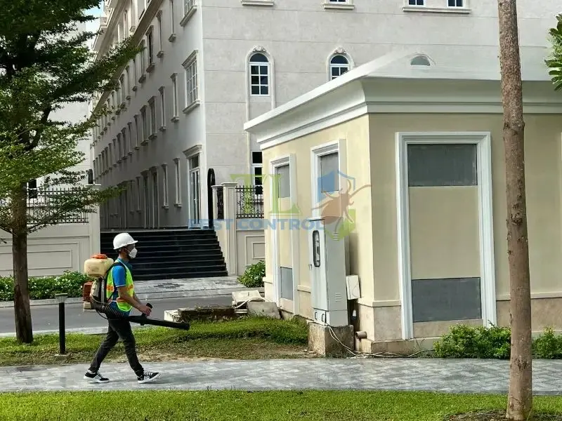 dịch vụ kiểm soát côn trùng