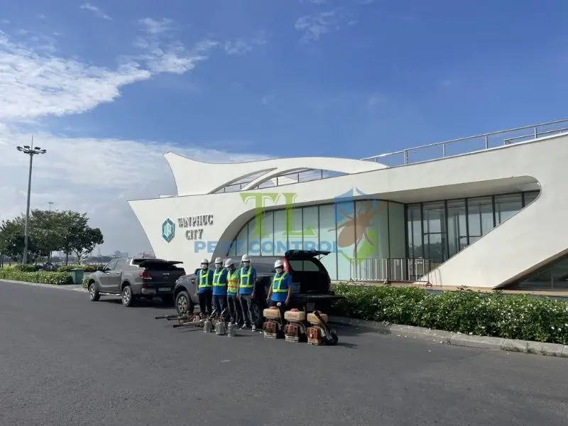 Dịch vụ phun thuốc diệt muỗi chuyên nghiệp Trần Long
