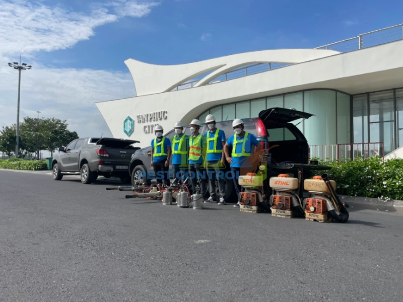 dịch vụ diệt mối