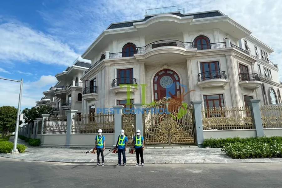 Giải pháp diệt muỗi chuyên nghiệp từ Trần Long