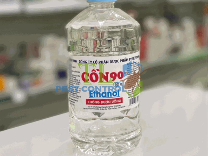 cách diệt mối trong tường nhà