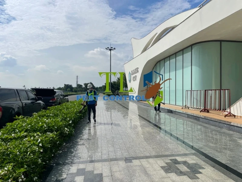đơn vị diệt côn trùng quận 6