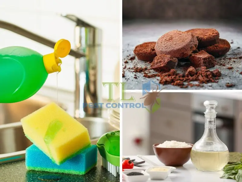 Tận dụng các vật dụng và nguyên liệu khác trong bếp