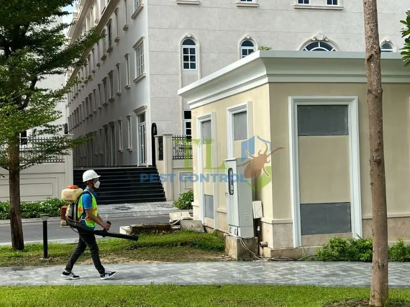 dịch vụ phun diệt côn trùng