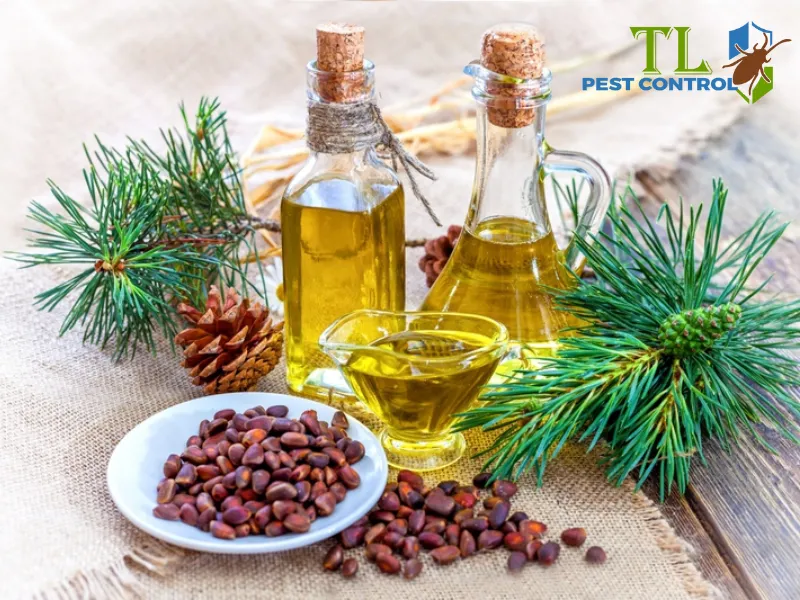 Đuổi muỗi bằng tinh dầu gỗ Tuyết Tùng