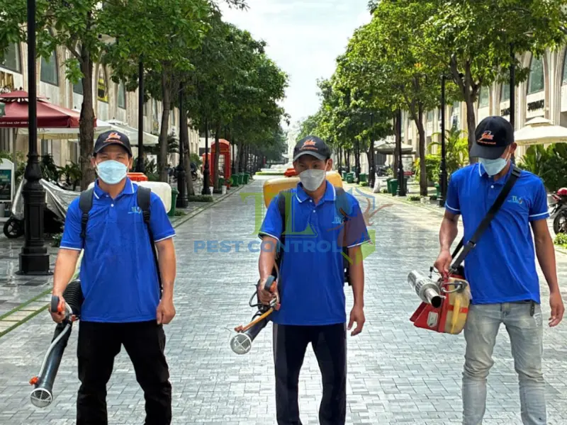 Quy trình diệt mối tận gốc Bình Dương chuyên nghiệp tại Trần Long