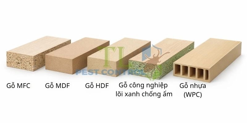 Khả năng kháng mối của các dòng gỗ công nghiệp