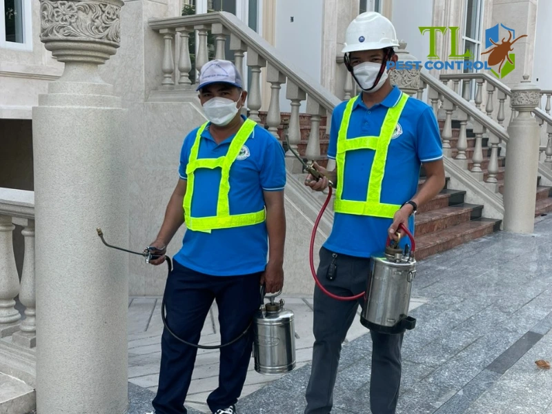lưu ý sau khi phun thuốc diệt mối