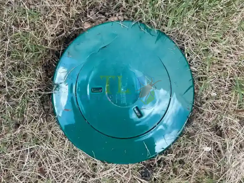 báo giá chống mối báo giá chống mối