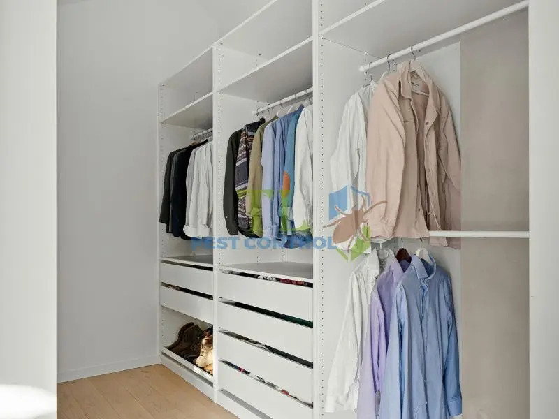 Vệ sinh và sắp xếp tủ quần áo gọn gàng