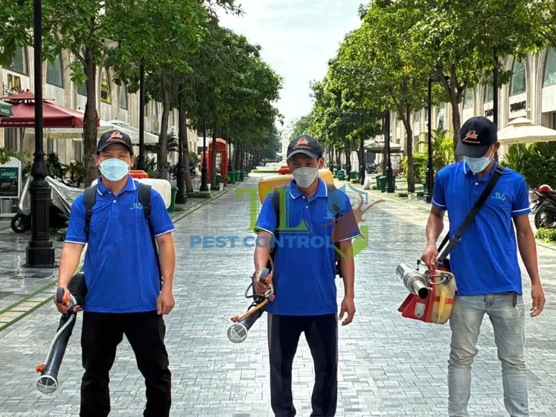 mẹo diệt ruồi trâu mẹo diệt ruồi trâu