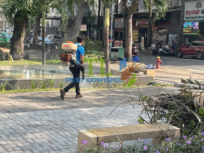 Lưu ý quan trọng khi diệt kiến trên cây mướp