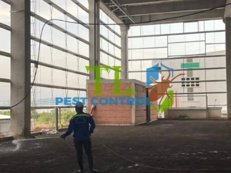 diệt mối quận 11