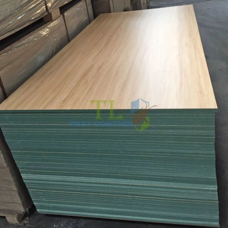 Gỗ công nghiệp phủ melamine có chống mối hoàn toàn?