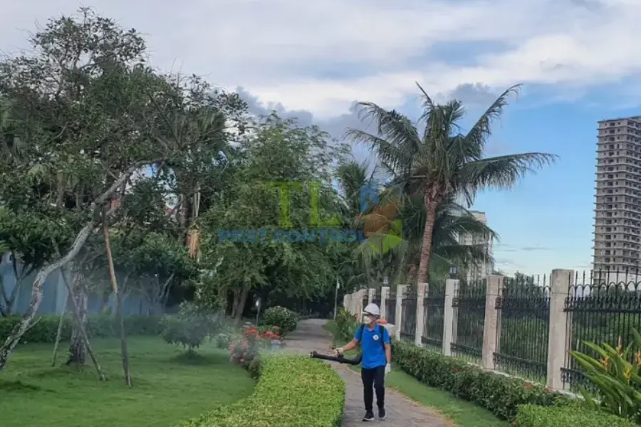 Diệt mối tại Bình Tân