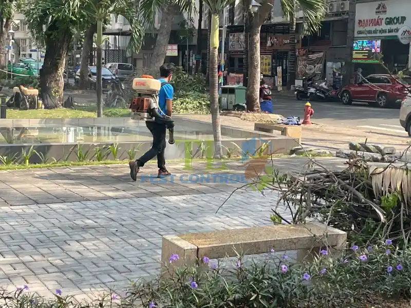 Diệt muỗi ngoài cầu thang