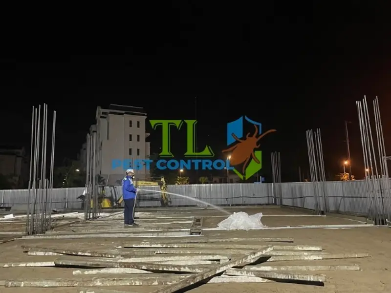 diệt mối tân phú