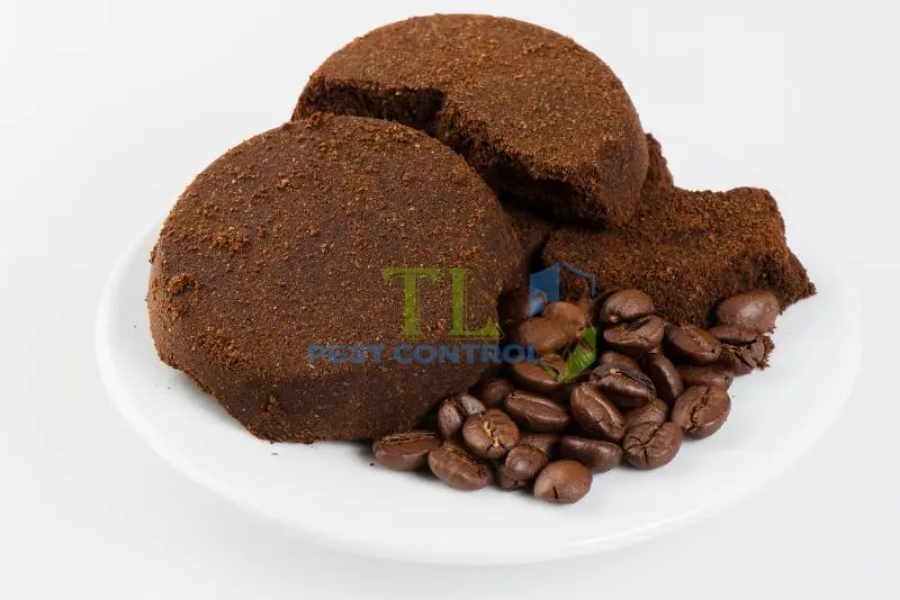 Cà phê rang xay đuổi muỗi 