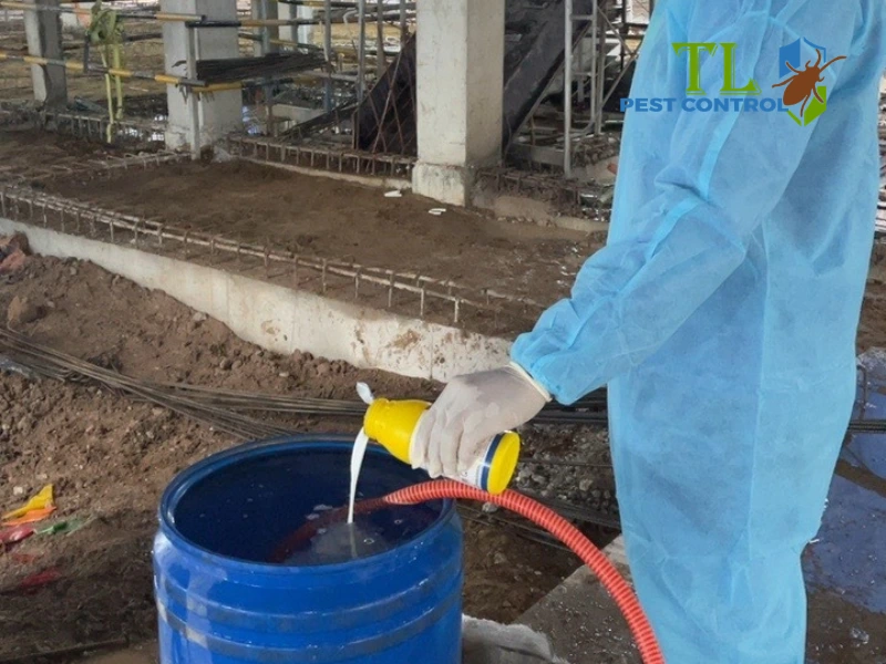 tại sao diệt mối rồi vẫn có mối