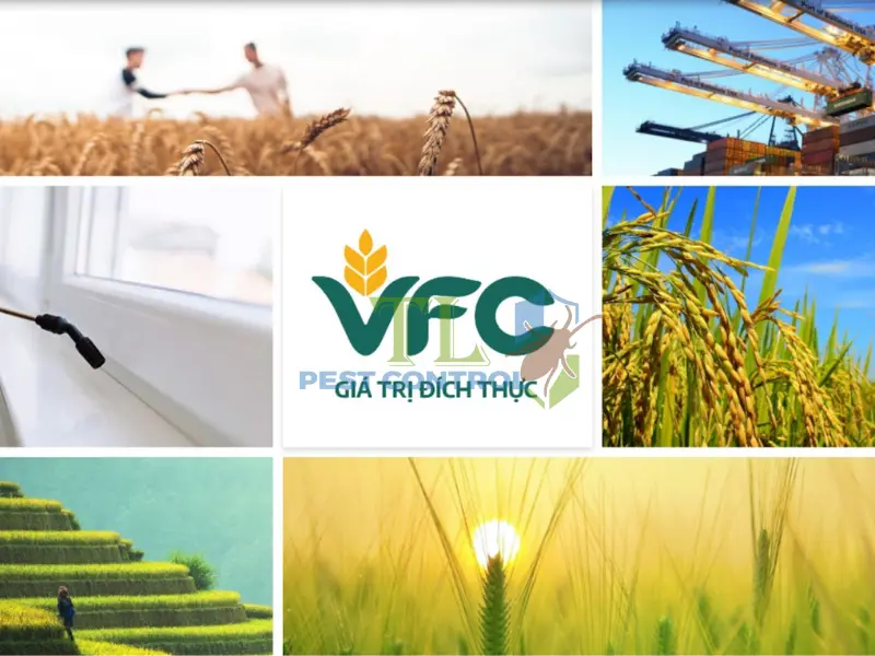 Công ty CP khử trùng Việt Nam - thương hiệu về dịch vụ diệt côn trùng hàng đầu tại Việt Nam