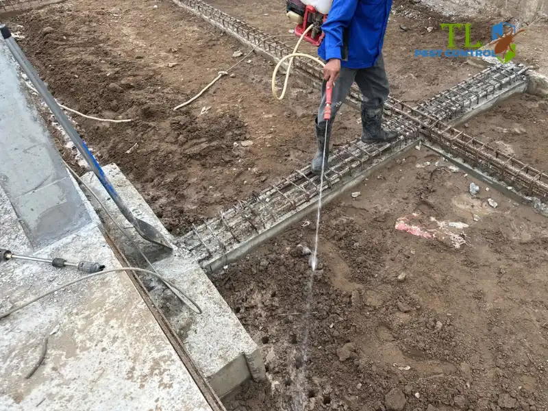 diệt mối quận tân phú