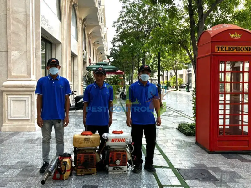 diệt mối tân phú