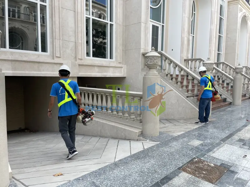 Kiểm soát muỗi ở giai đoạn ấu trùng