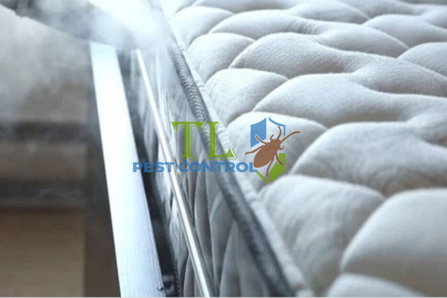 Top Các Cách Diệt Kiến Trên Giường Ngủ Đơn Giản, Hiệu Quả Nhanh Chóng