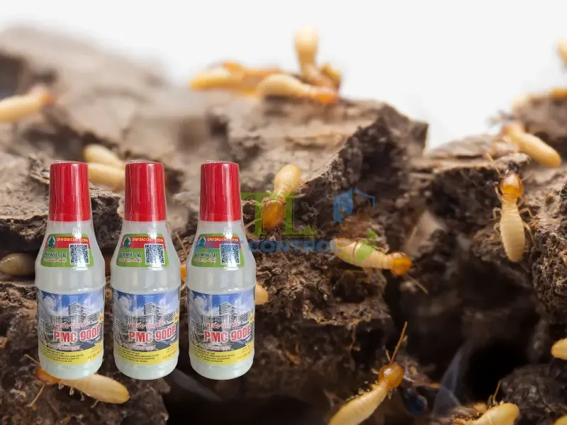 Diệt mối bằng hộp nhử kết hợp hóa chất sinh học PMC 90