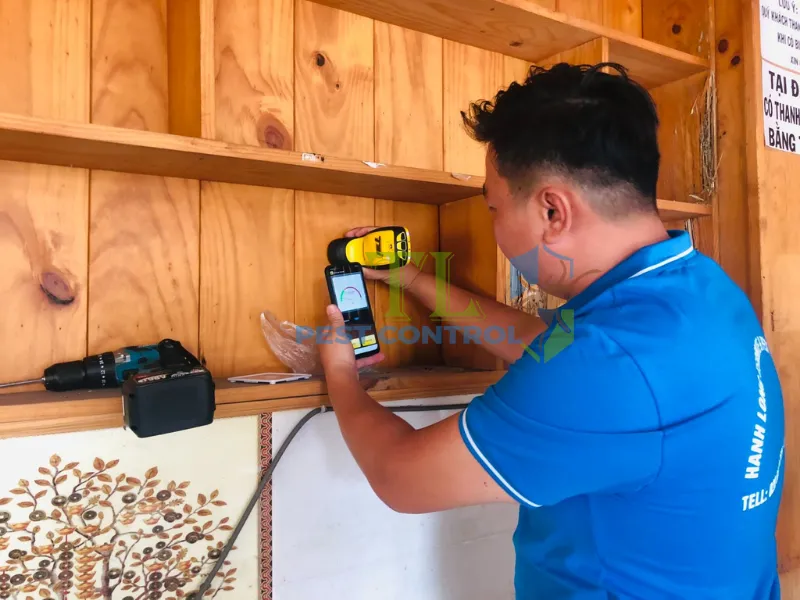 Quy trình diệt mối căn hộ tại Trần Long